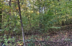 VL 8th Avenue, Grand Junction, MI 49056