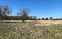27215 Meadowmore Drive, Whitney, TX 76692