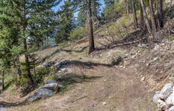 574 Glacier Loop Rd, Bayview, ID 83803