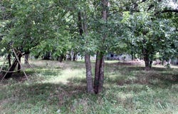 00 Laredo ST, Lockhart, TX 78644