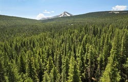5350 Wildcat Trail, Crested Butte, CO 81224