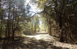 0 SLAB RD, Coleman, OK 73432