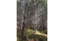 Boiler Creek Rd, Springfield, OR 97478