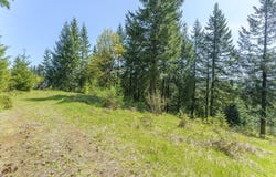25308 NW MOUNTAIN DR, Banks, OR 97106
