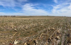 TBD 300 Ave, Winner, SD 57580