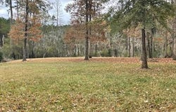 Winfield Lane lot: 97, Pinetown, NC 27865