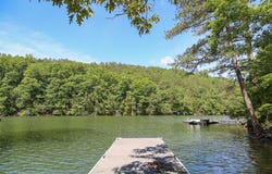 406 PARADISE Trl, Arley, AL 35541