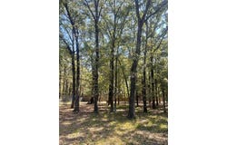 237 Comanche Trail, West Tawakoni, TX 75474