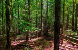 F E Sellers Highway, Monticello, MS 39654
