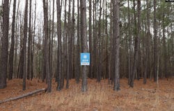 LOT 229 Granny Hill Road, Prosperity, SC 29127