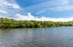 15 Jessica Way, East Falmouth, MA 02536