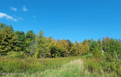 65 Clinton Drive, Factoryville, PA 18419