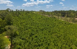 00X Highway 35 North, Carthage, MS 39051