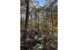 3278 Hwy 310, WATERFORD, MS 38685