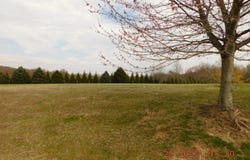 LOT #17 FRANK CRANE DRIVE, NORTH EAST, MD 21901