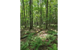 10555 EASEMENT Road, TIPLER, WI 54542