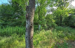 16 Vars Lane, Westerly, RI 02808