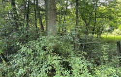 212 Granite Ln, Fairdale, WV 25839