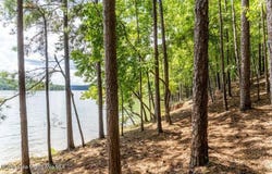 95 East Ridge, Alexander City, AL 35010