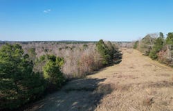 Reeves Rd, Garrison, TX 75945