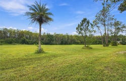 19135 N DALE MABRY Highway, LUTZ, FL 33548