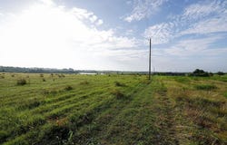 334 Vineyard View Trail, Carmine, TX 78932