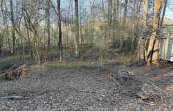 001 SCOTT ROAD lot: 0, CORDOVA, AL 35550