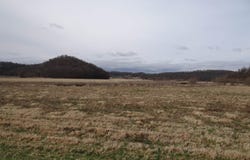 151.68+/- Acres Rattlesnake Road, Cassville, WI 53806