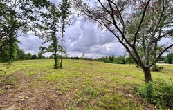 4010 Highway 63 E, Jasper, TX 75951