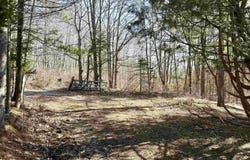 161 W Nachazel Road, Maple City, MI 49664