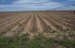 1730 S Slide Road, New Home, TX 79383