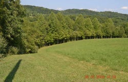 Hawk's View Lane, Napier, WV 26631