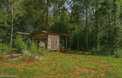 66 Pete Freeman Road Road, Decatur, MS 39327