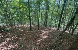 Lot 91 NE Muslin, Ranger, GA 30734
