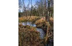 Kinstone Lane, Trenton, ME 04605