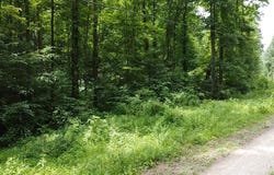 1 highway 1760, Louisa, KY 41230