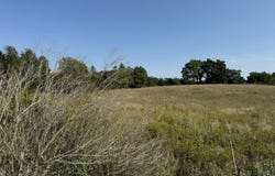 14257 W Michigan Avenue, Marshall, MI 49068