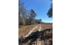 Starfish Lane, Lyons, GA 30436