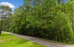 0 Worley Road, Ball Ground, GA 30107