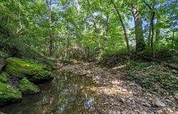 000 N Farm Road 99, Willard, MO 65781