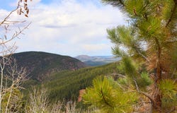 13499 S Firedog way, Larkspur, CO 80118