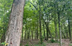 0 Airport Road, Luverne, AL 36049