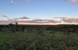 73 Ac Hwy 16, Loving, TX 76460
