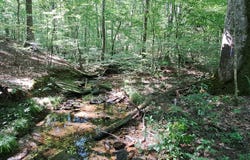 52 Grizzley, Ranger, GA 30734