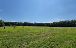 311 HATCHETT ROAD, CENTREVILLE, MD 21617