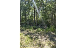 14100 SE 47TH Place, Starke, FL 32091