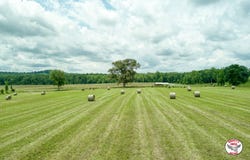 11 W Hwy 92/Twyford Point Rd., Monticello, KY 42633