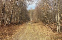 1 Sherry Hollow Rd, Mayport, PA 16240