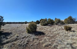 1968 Ridgeway Road, Show Low, AZ 85901