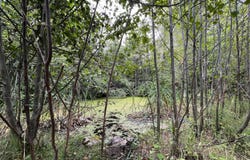 34 PEACE RIDGE WAY, KETTLE FALLS, WA 99141